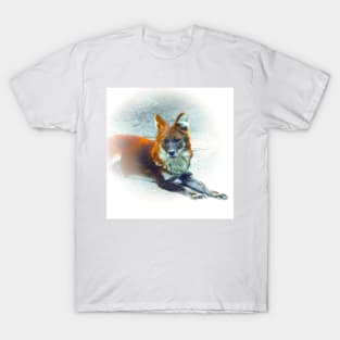 Dhole-asian wild dog T-Shirt